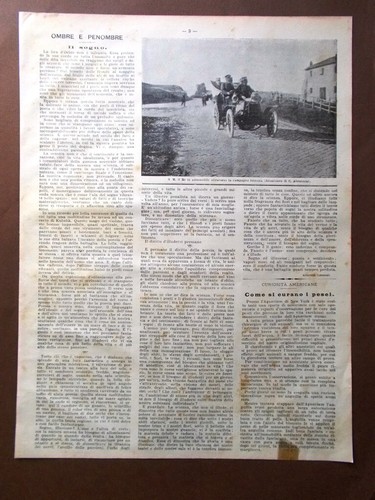 1902 article king roman - king,